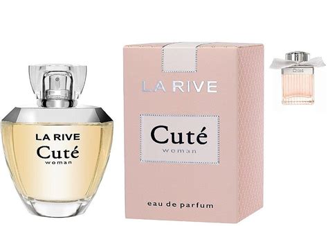 perfume similar to chloe roses|fragrances similar to chloe signature.